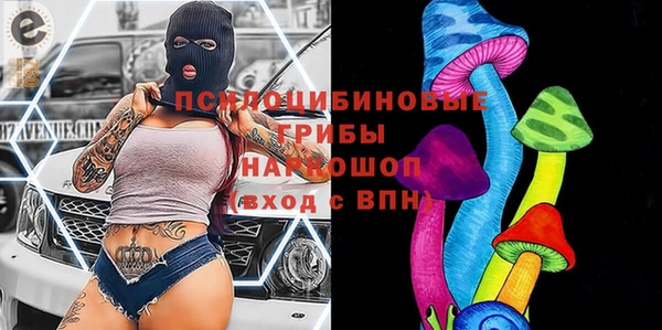 сатива Вязники